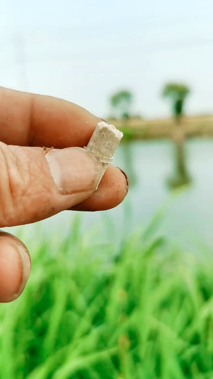 点开头像分享更多钓鱼小技巧,喜欢钓鱼的朋友双击收藏钓鱼(6)