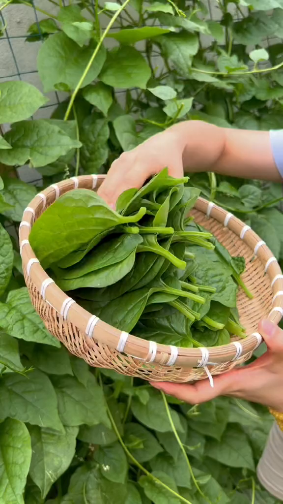 快来看看快来看看爬藤的菜不吃页,吃页的菜不怕藤!