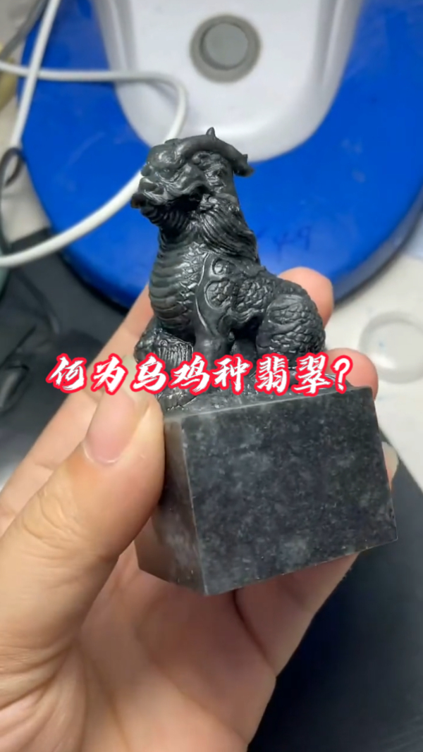 切料子就怕切出“乌鸡”,那何为乌鸡种翡翠呢?