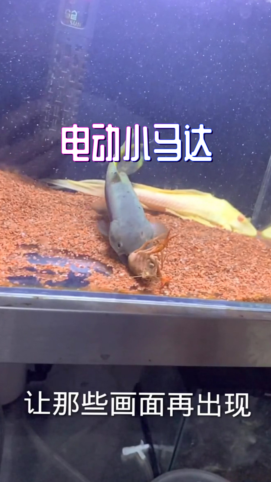 牙鱼死亡翻滚重现,一个字,帅