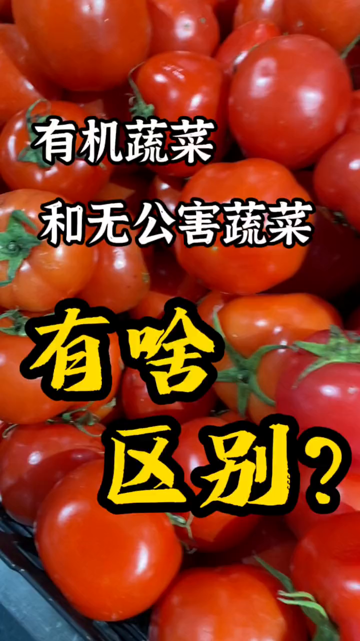 有机蔬菜和普通蔬菜有什么区别 懒人快手菜