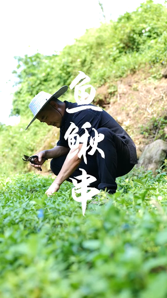 火锅烫草草的365天