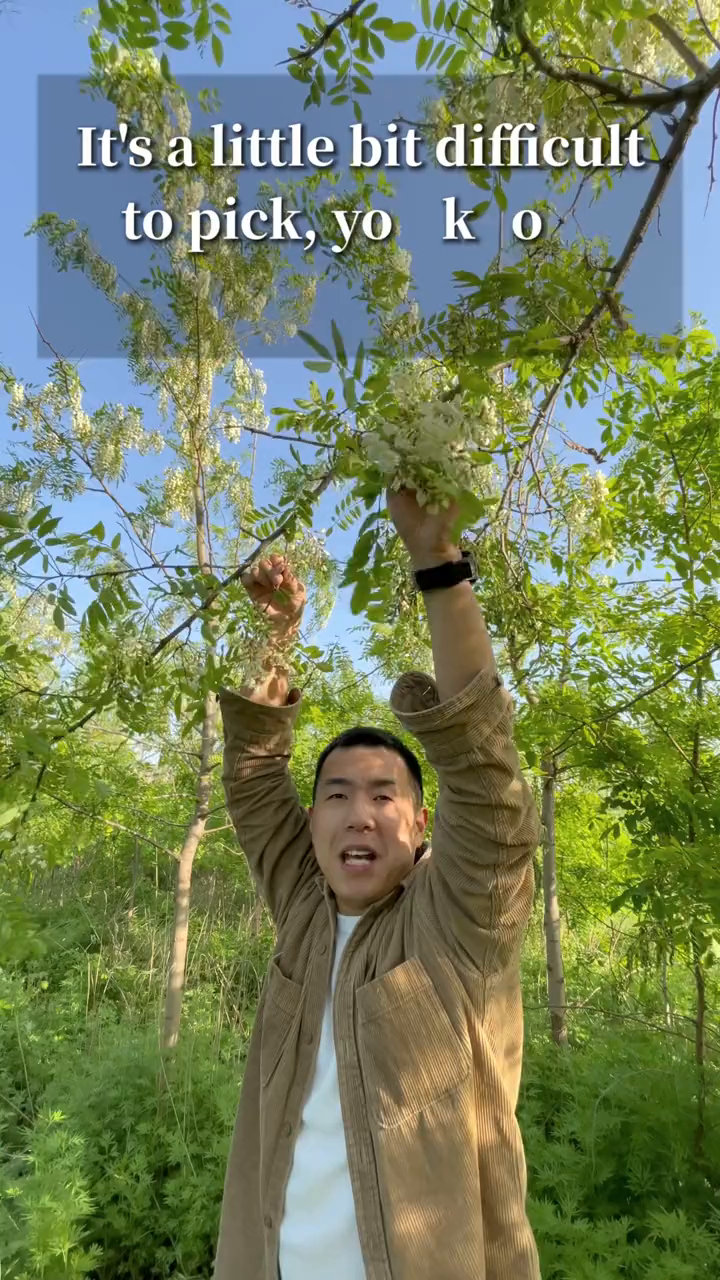 大伙吃过洋槐花疙瘩菜嘛?