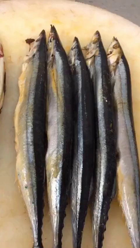 碳烤秋刀鱼。猜对音乐歌名就告诉你怎么做