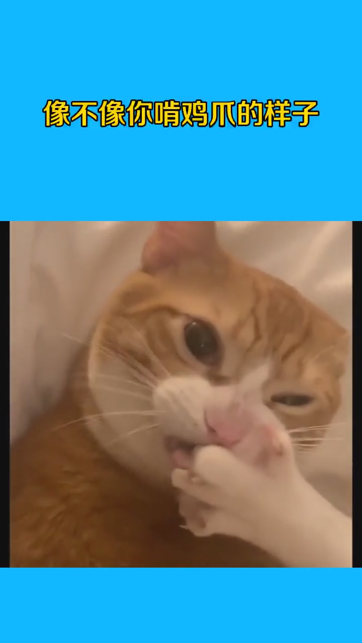 像不像你啃鸡爪的样子?