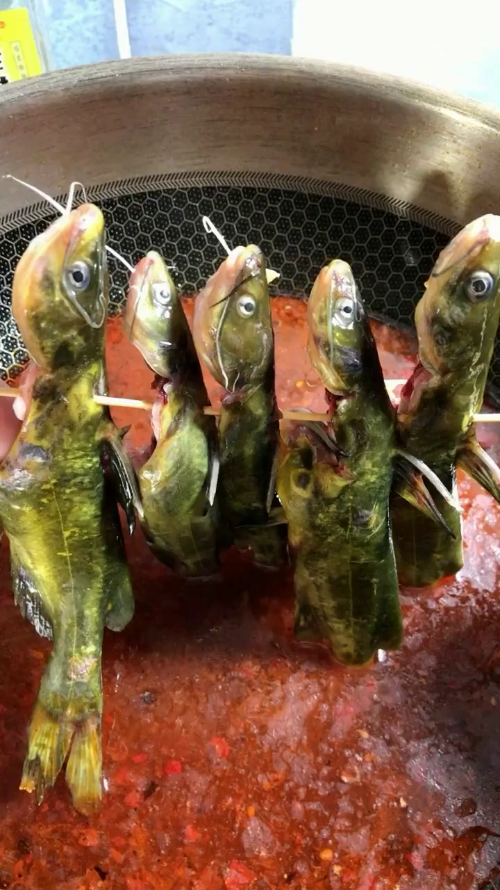 没有紫苏可以不放,可以放点豆腐烧也好好吃