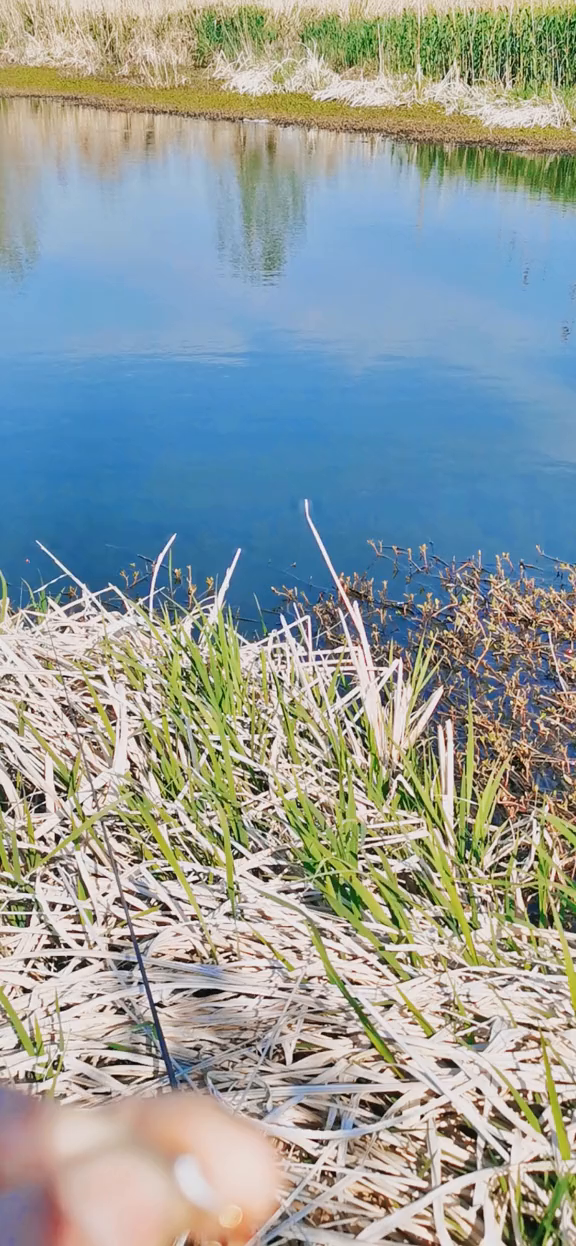点开头像分享更多钓鱼小技巧,喜欢钓鱼的朋友双击评论野钓(7)