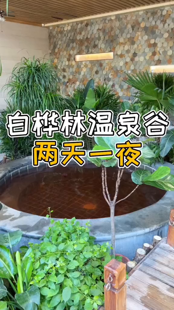白桦林温泉谷599两天一夜的旅行也太棒了吧~