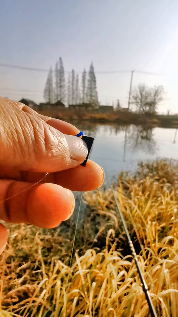 点开头像分享更多小技巧,喜欢的朋友双击收藏野钓(6)