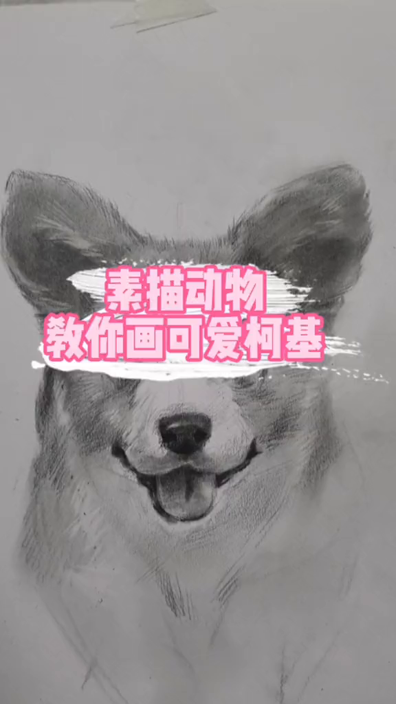 可爱的素描柯基画法示范,你学会了吗!