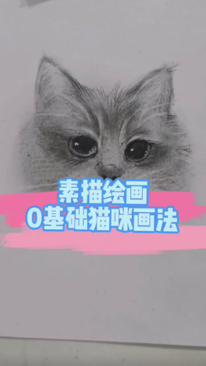 素描动物之猫咪的画法塑造素描手绘画画