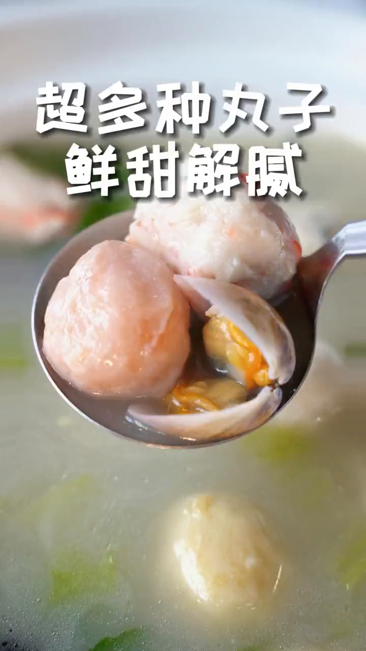 海鲜鱼丸墨汁墨鱼丸海苔虾饼