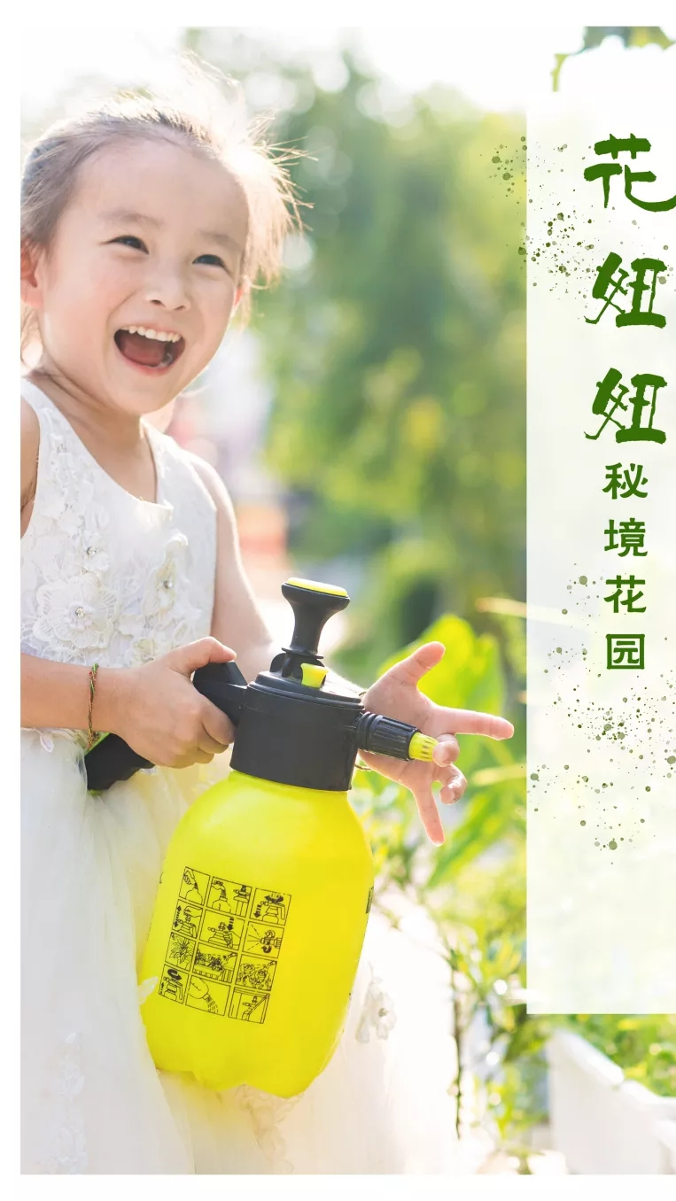 幼儿园可以种植的有机蔬菜,河南济源的板栗南瓜,又好吃有健康