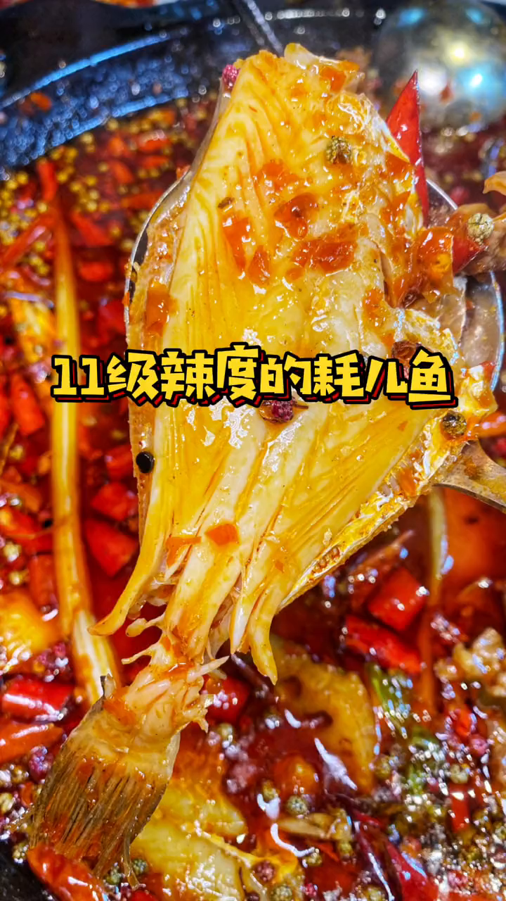 11级辣度的耗儿鱼,你敢不敢挑战?