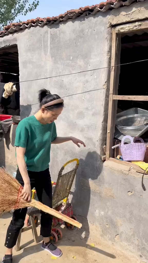 家里的苍蝇实在太多了