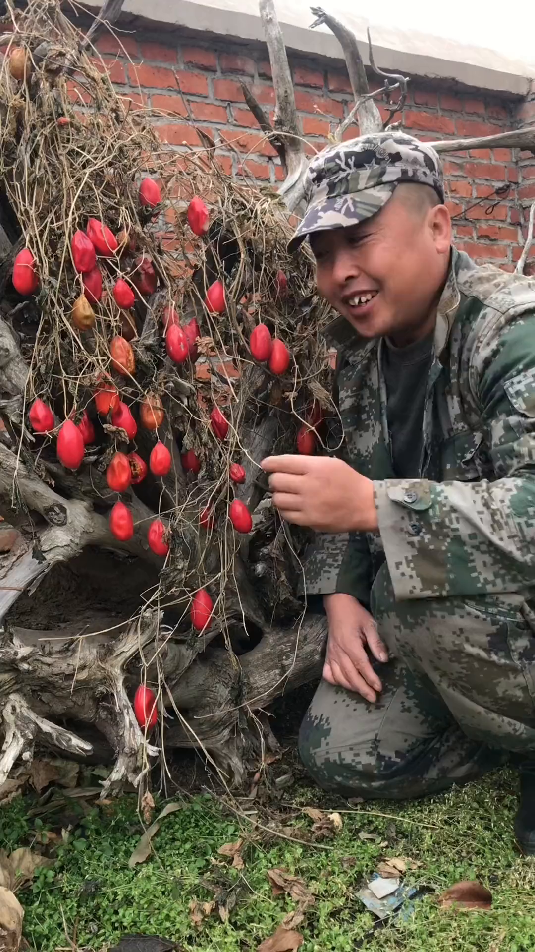 气包子直接吃不可过量食用