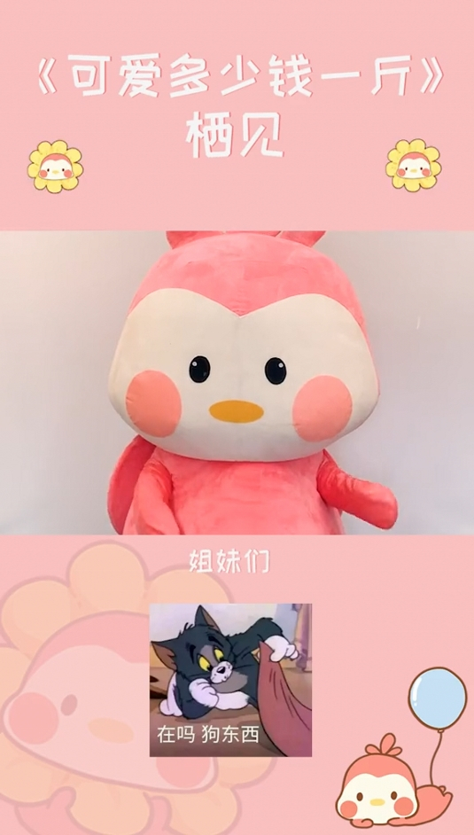 可爱多少钱一斤