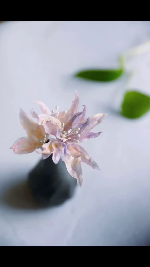 唯美的糯米纸花蛋糕,进来看看怎么做的吧!