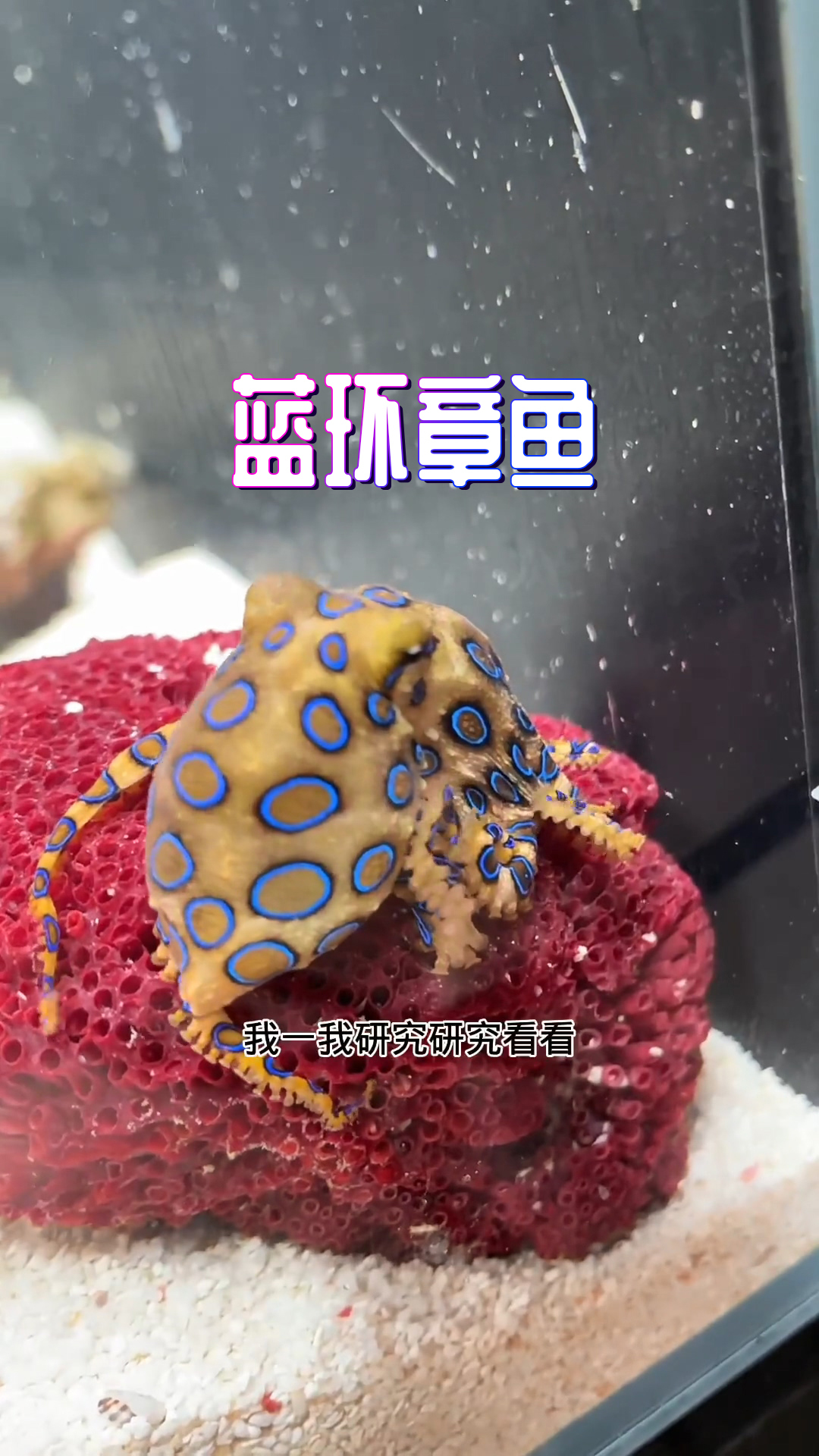 我发现你们的关注点怎么都偏了呢,关注墙上的鱼竿了