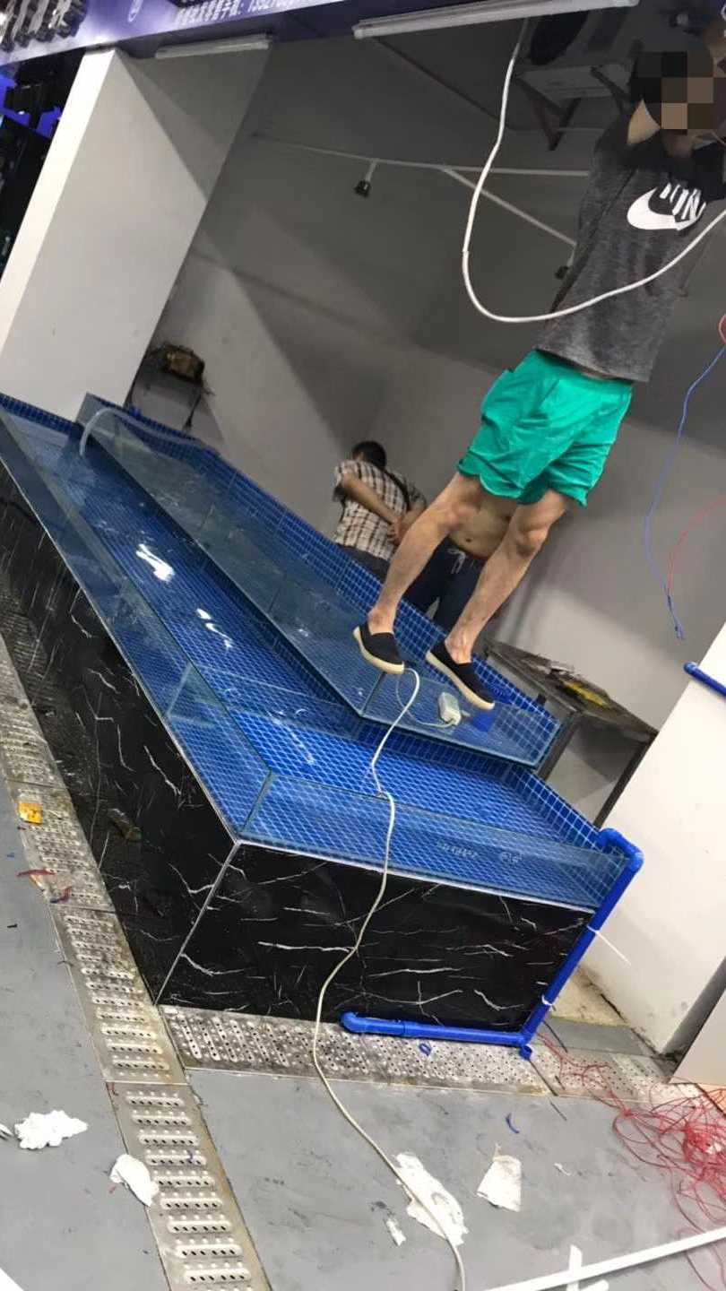 酒店海鲜池制作,大型海鲜鱼缸制冷安装,酒店厨房海鲜池