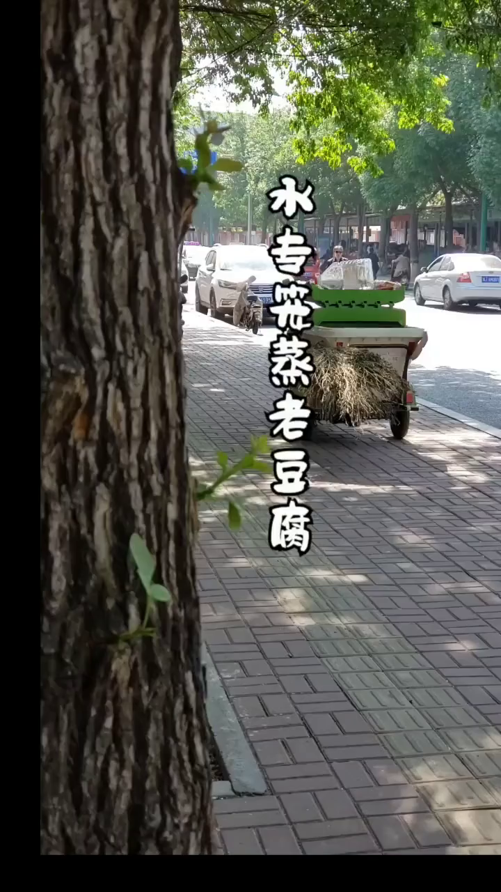 顺便聊聊老豆腐和豆腐脑的区别