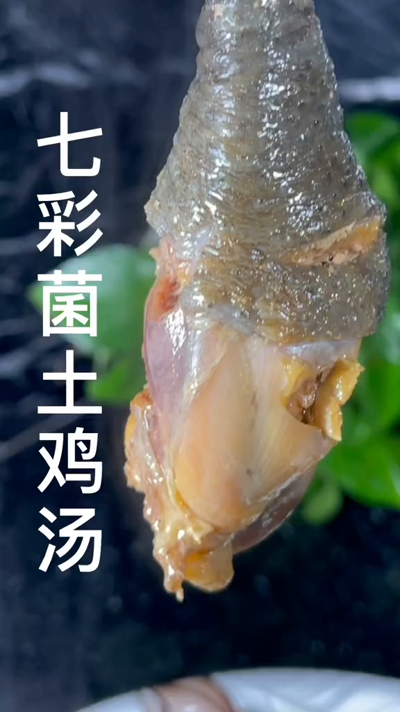 七彩菌菇土鸡汤,既营养又美味……