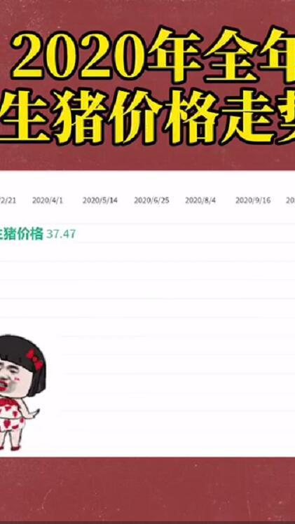 2020年全年生猪价格走势!2021年猪价如何运行?