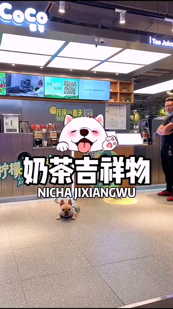 奶茶点吉祥物.……