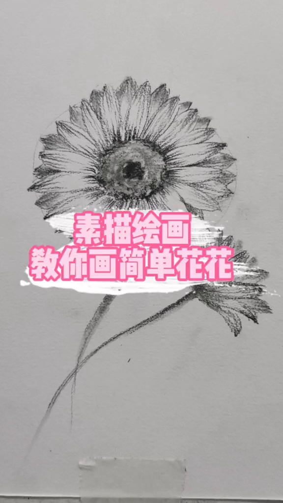 如何画出简单好看的素描花朵!素描手绘画画