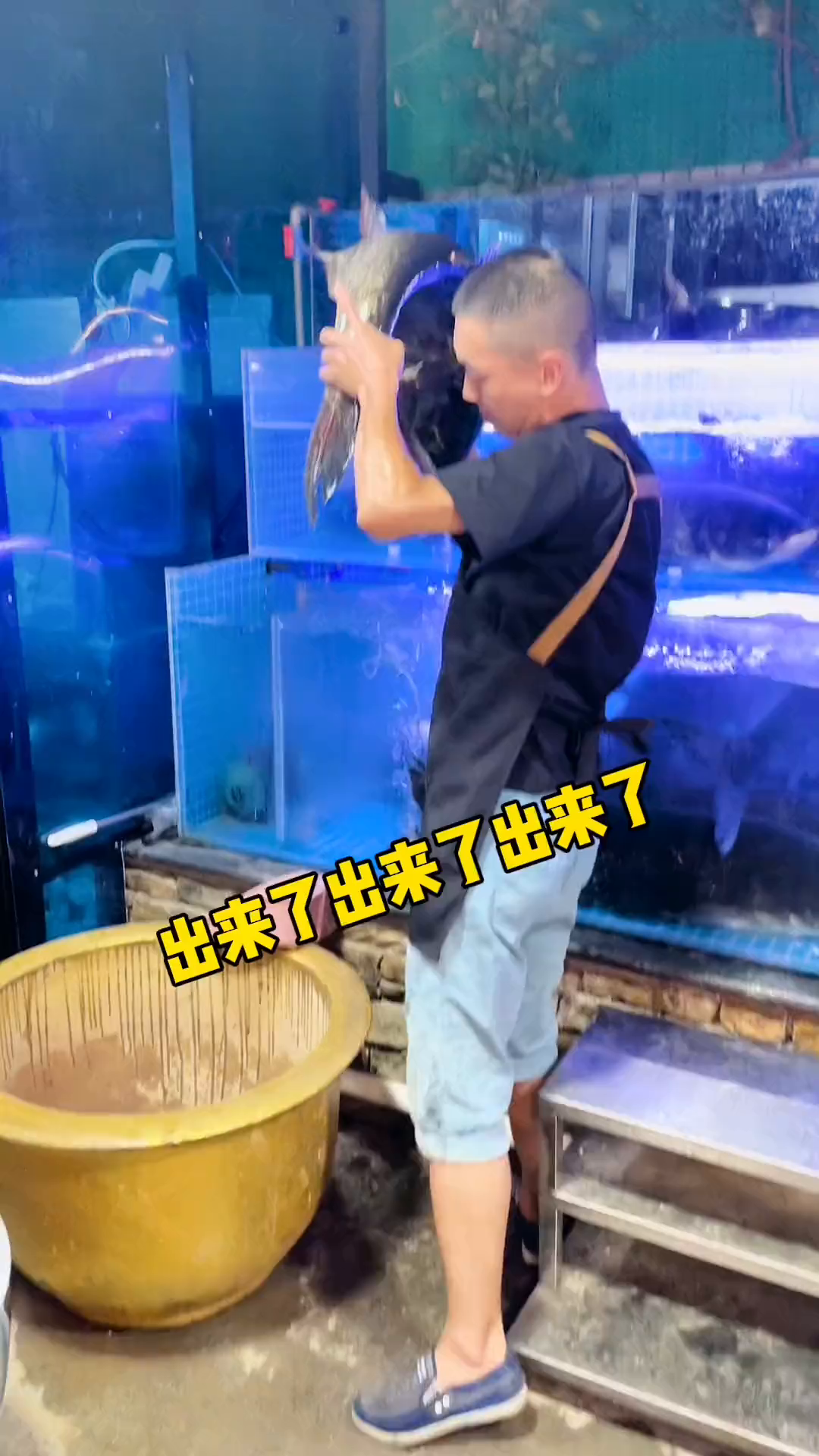 来自千岛湖的超级大鲟鱼头