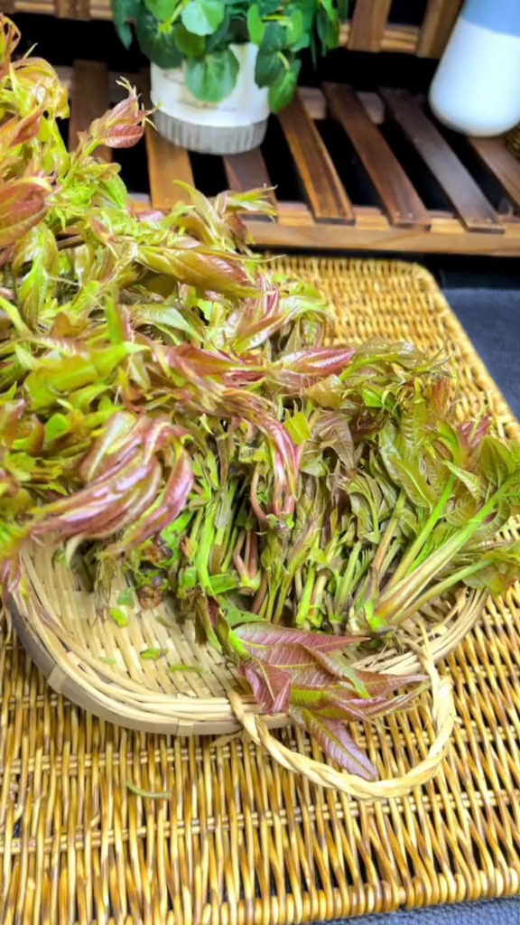 春天的味道椿……
