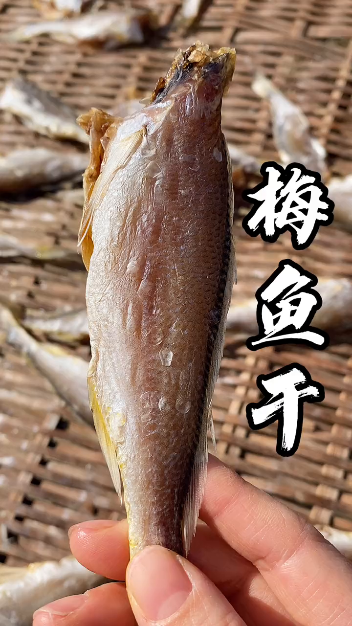咸鱼怎么做才好吃?尝尝梅鱼干茄子煲吧,鱼肉咸香鲜美,茄子软糯好下饭