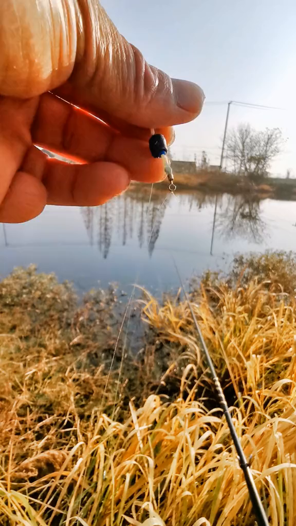 点开头像分享更多小技巧,喜欢的朋友双击收藏野钓(8)