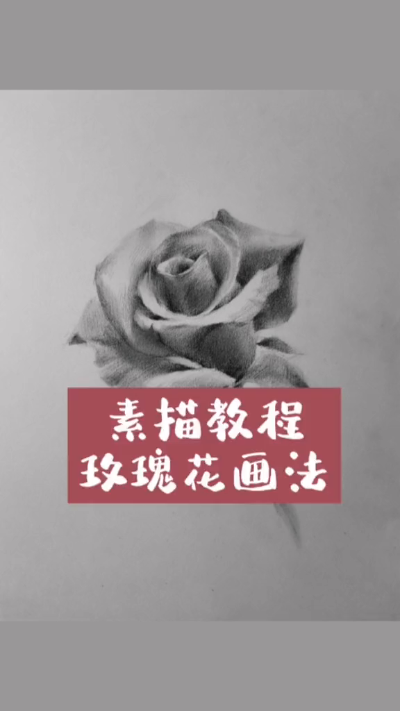 素描教程之玫瑰花画法示范画画手绘素描