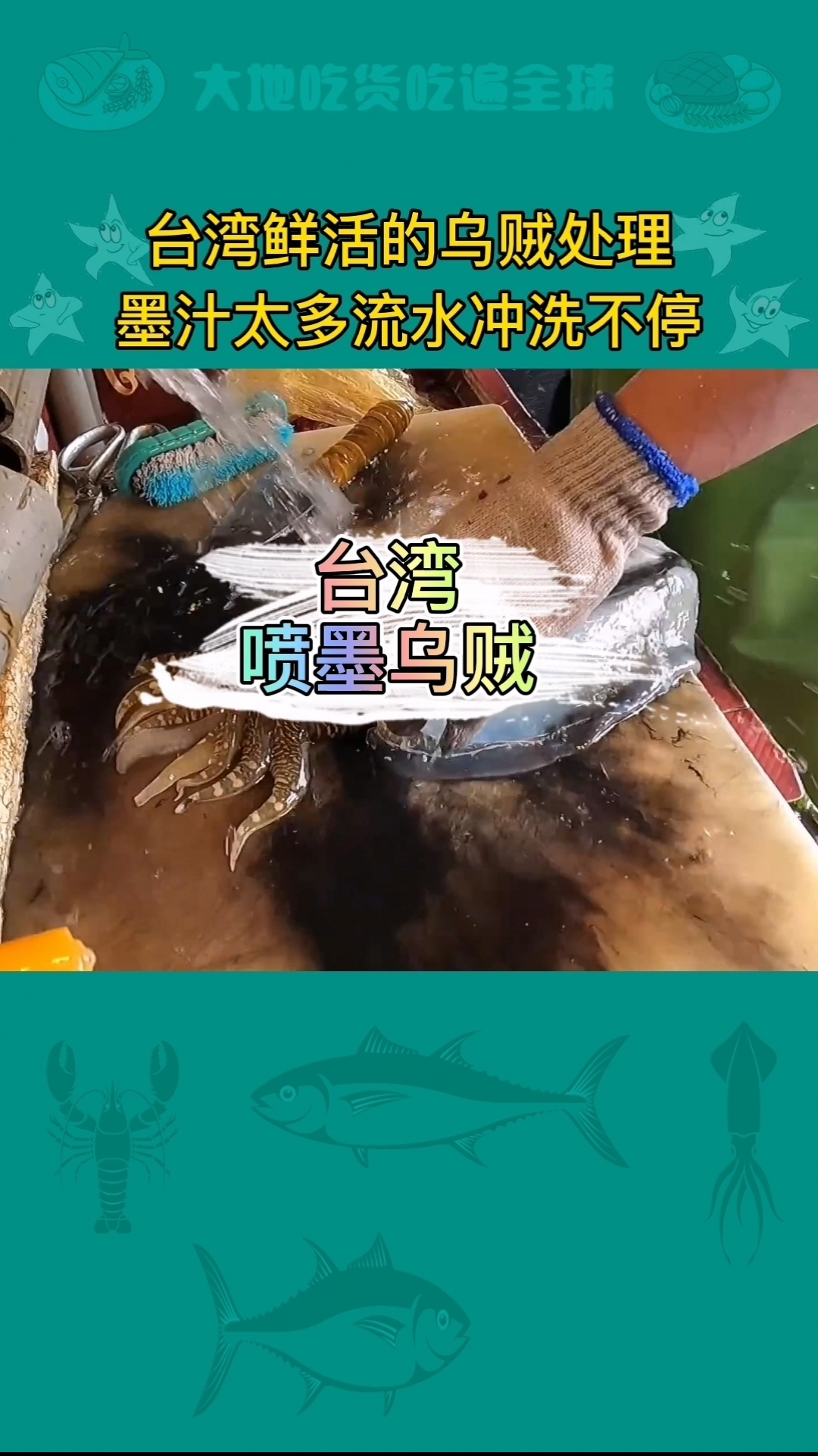 乌贼肚子里有多少墨水烹饪现场切开一看,比我上学写的字用的都多!