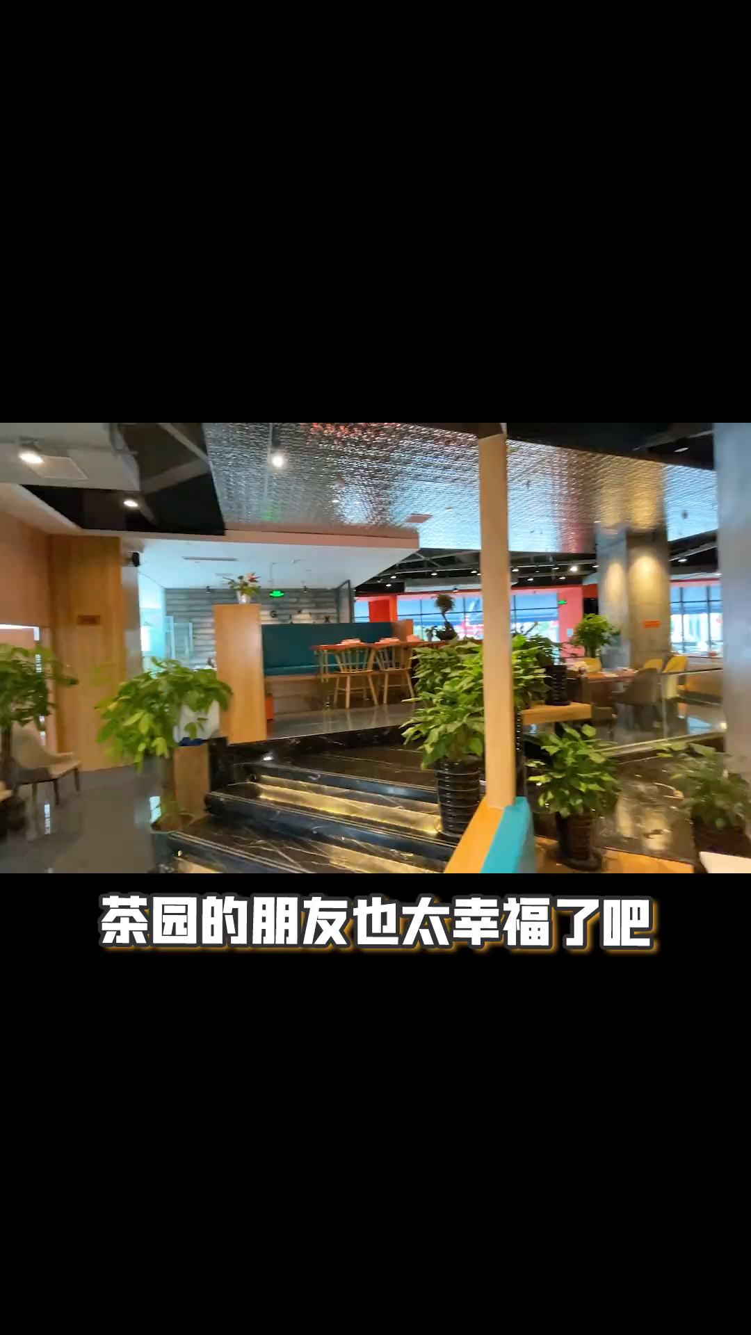 茶园人均50居然就能吃到真正的波士顿龙虾,这也太幸福了