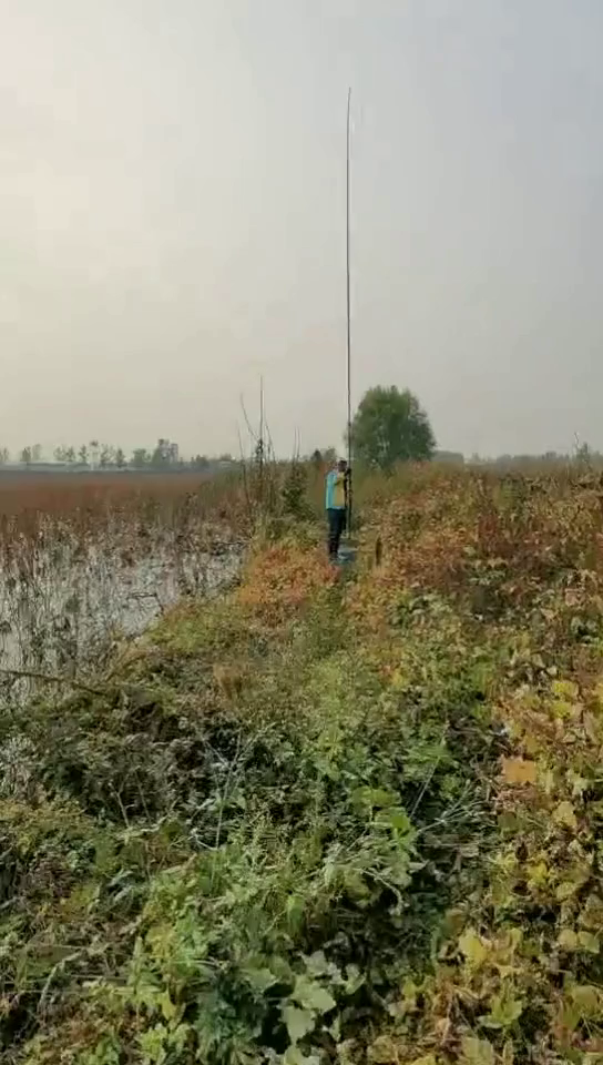 藕塘黄金战甲鲫!盘个福地上热门钓鱼技巧长杆短线钓鲫鱼