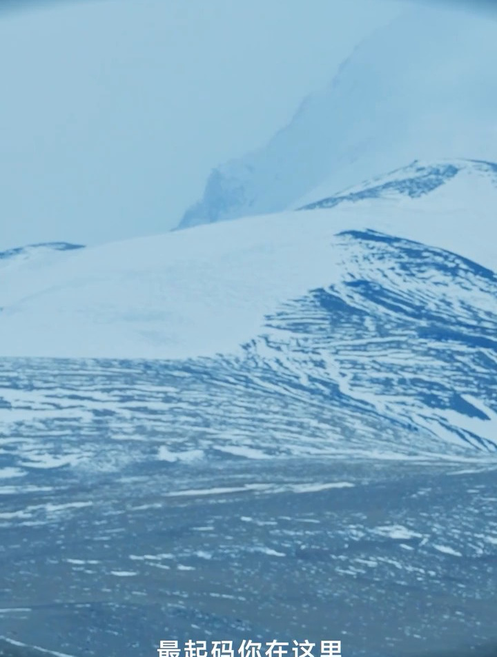逐梦|他说等油菜花开了就回来