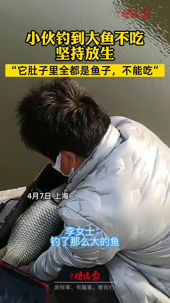 男子钓到大鱼却选择放生:“它肚子里有很多鱼子,不能吃!”