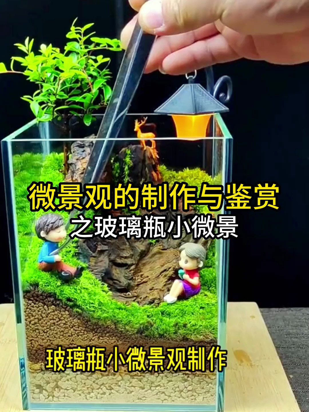 玻璃瓶做的微景是什么样子的?看完做就好了!