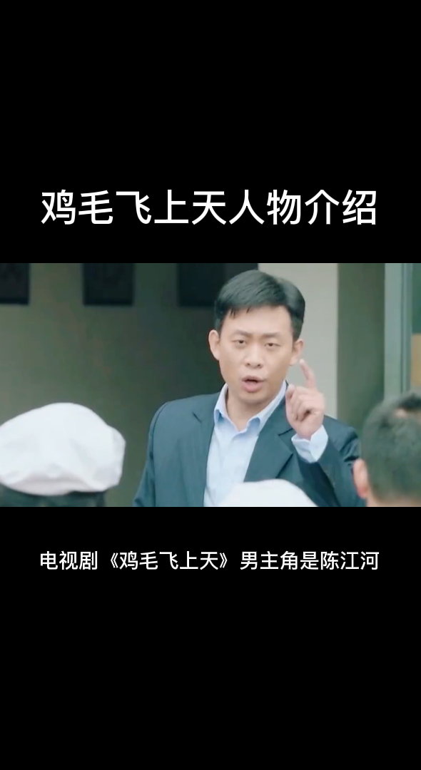 鸡毛飞上天人物介绍