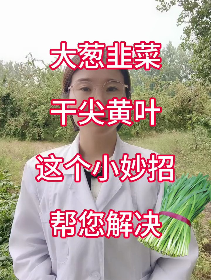 大葱韭菜干尖黄叶这个小妙招帮您解决