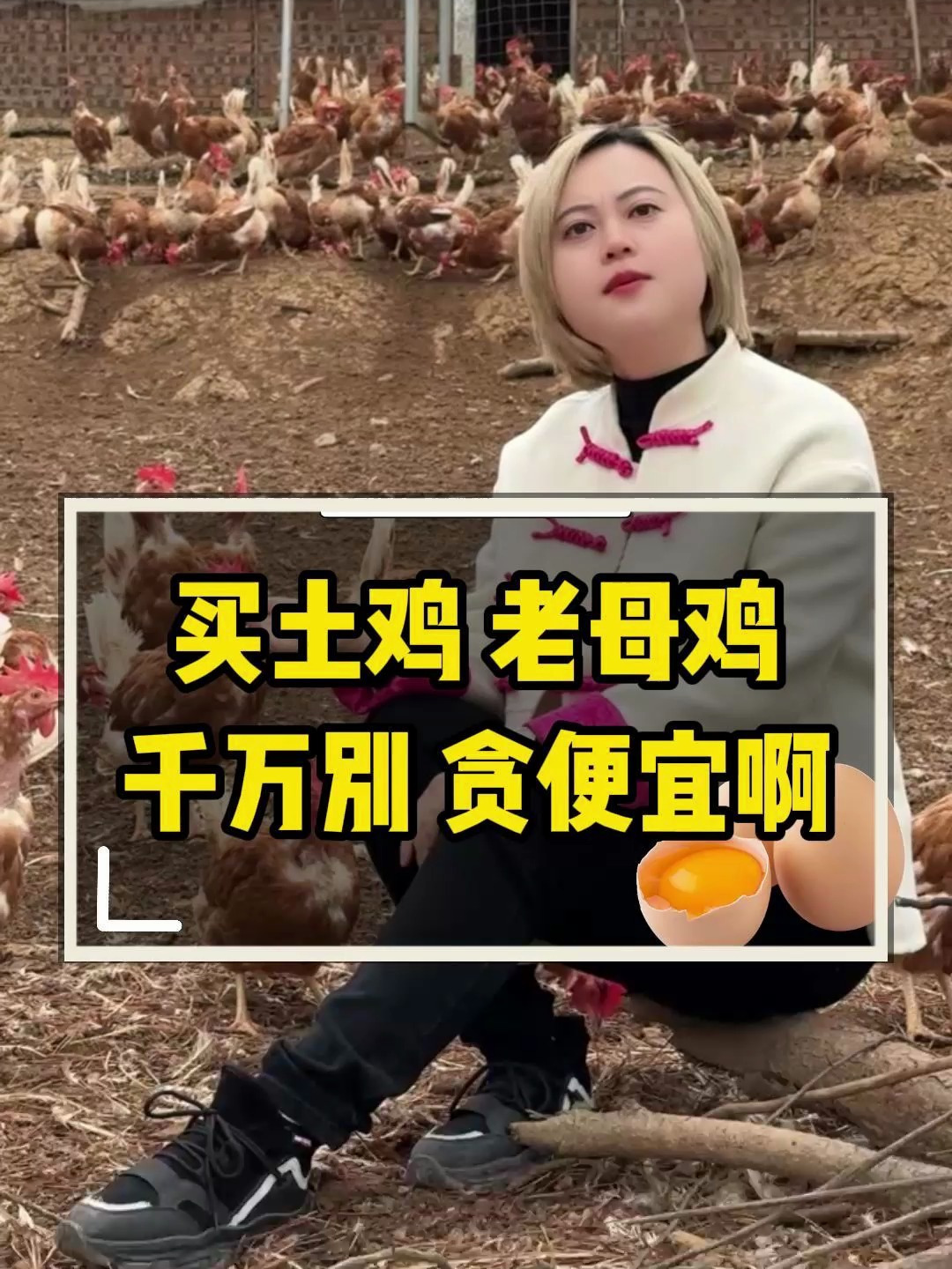 买土鸡和老母鸡千万别贪便宜