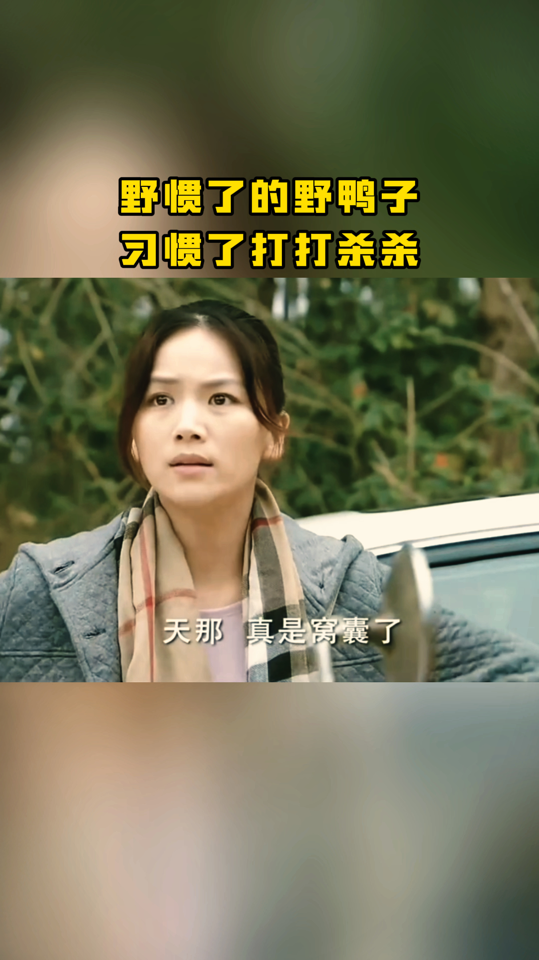 野惯了的野鸭子,习惯了打打杀杀