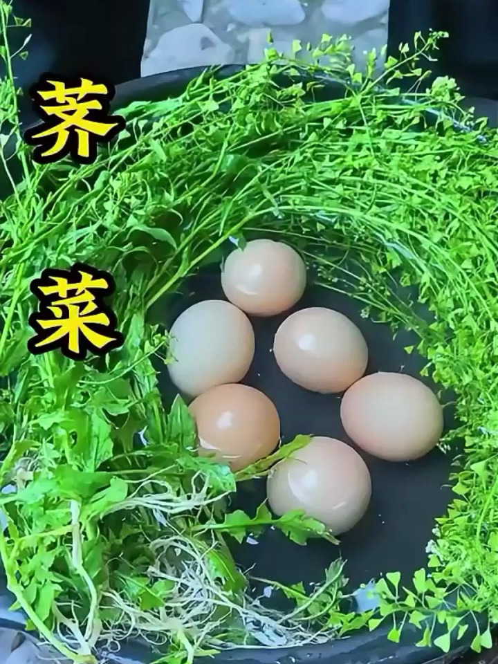 很多人会把它当野草去除,但是懂的人会将它连根拔起,这就是荠菜