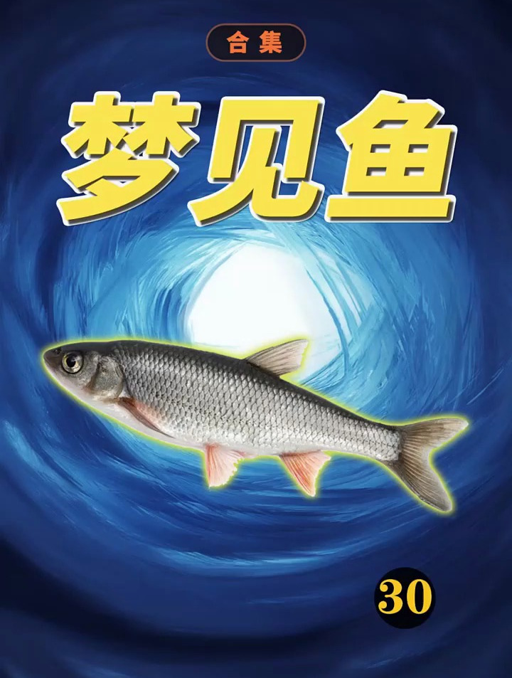 梦见不同的鱼是为什么?鳄鱼鲸鱼?周公解梦 梦
