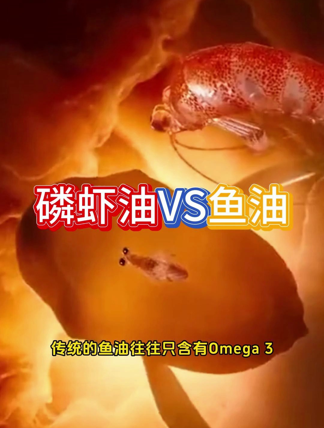 磷虾油与鱼油哪个更适合加班熬夜的人吃