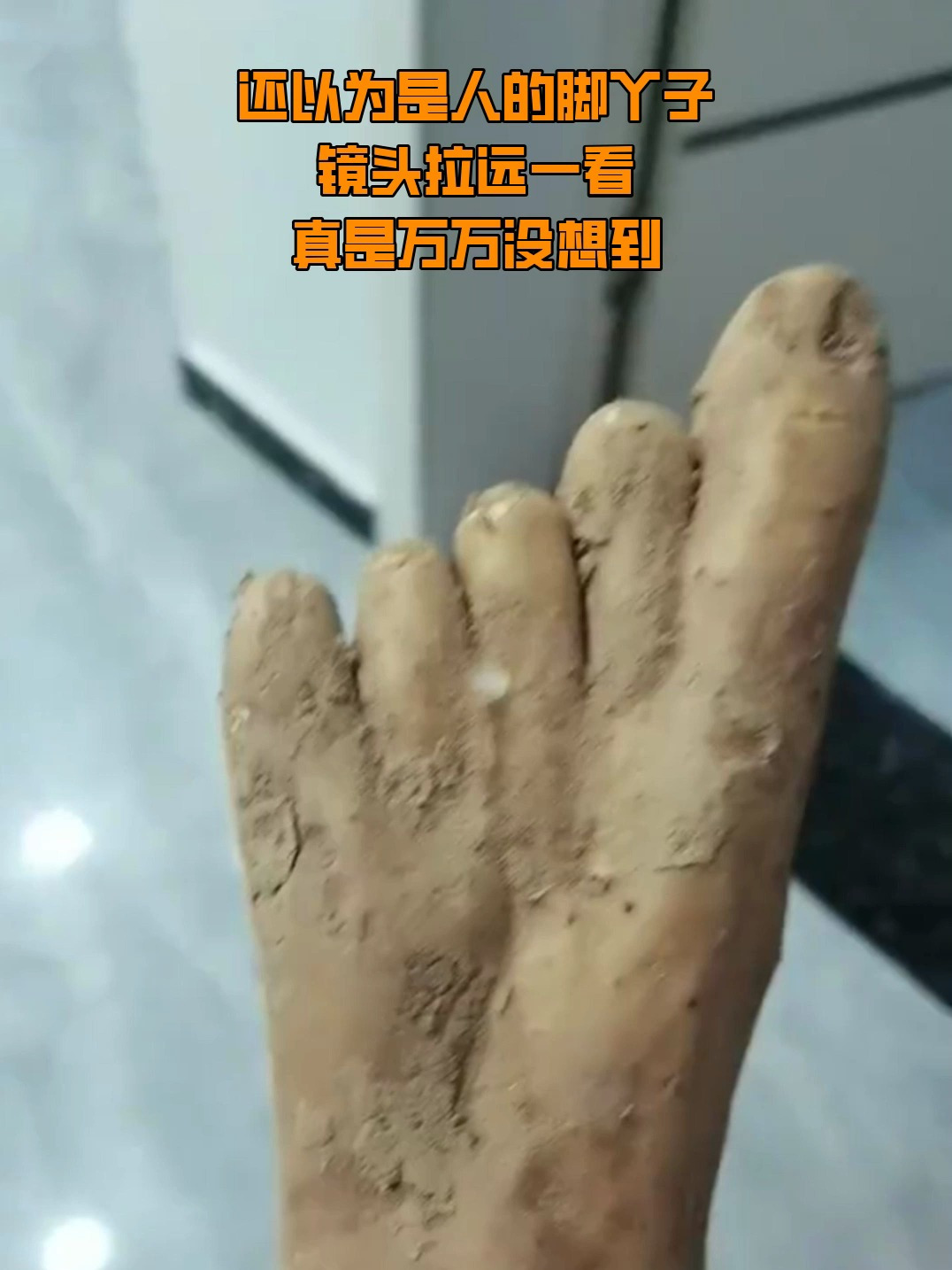 还以为是人的脚丫子,镜头拉远一看,真是万万没想到!