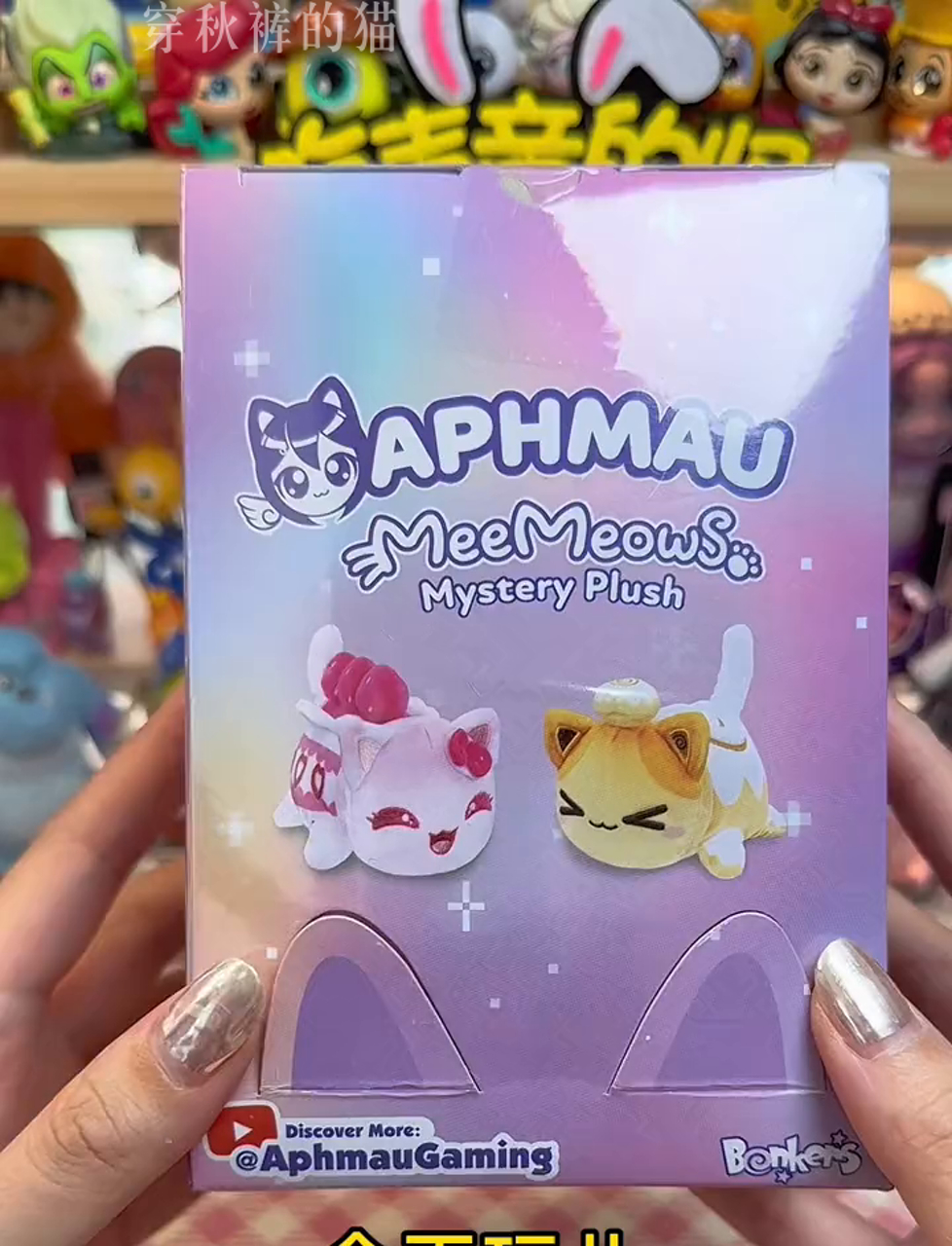 盲盒里藏着啥?可能是只萌翻天的肉桂色猫咪哦!