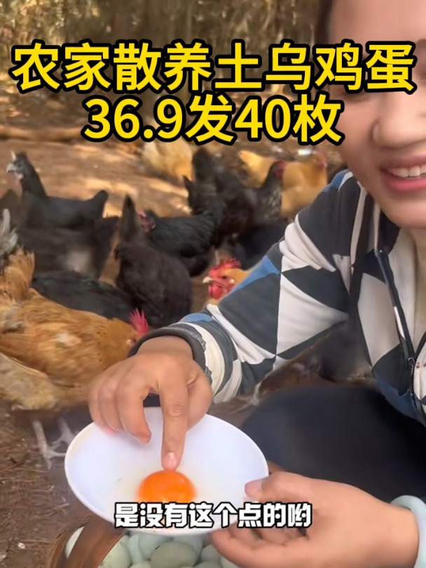 正宗绿壳土乌鸡蛋